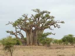 284232_10150257961659901_7128757_n